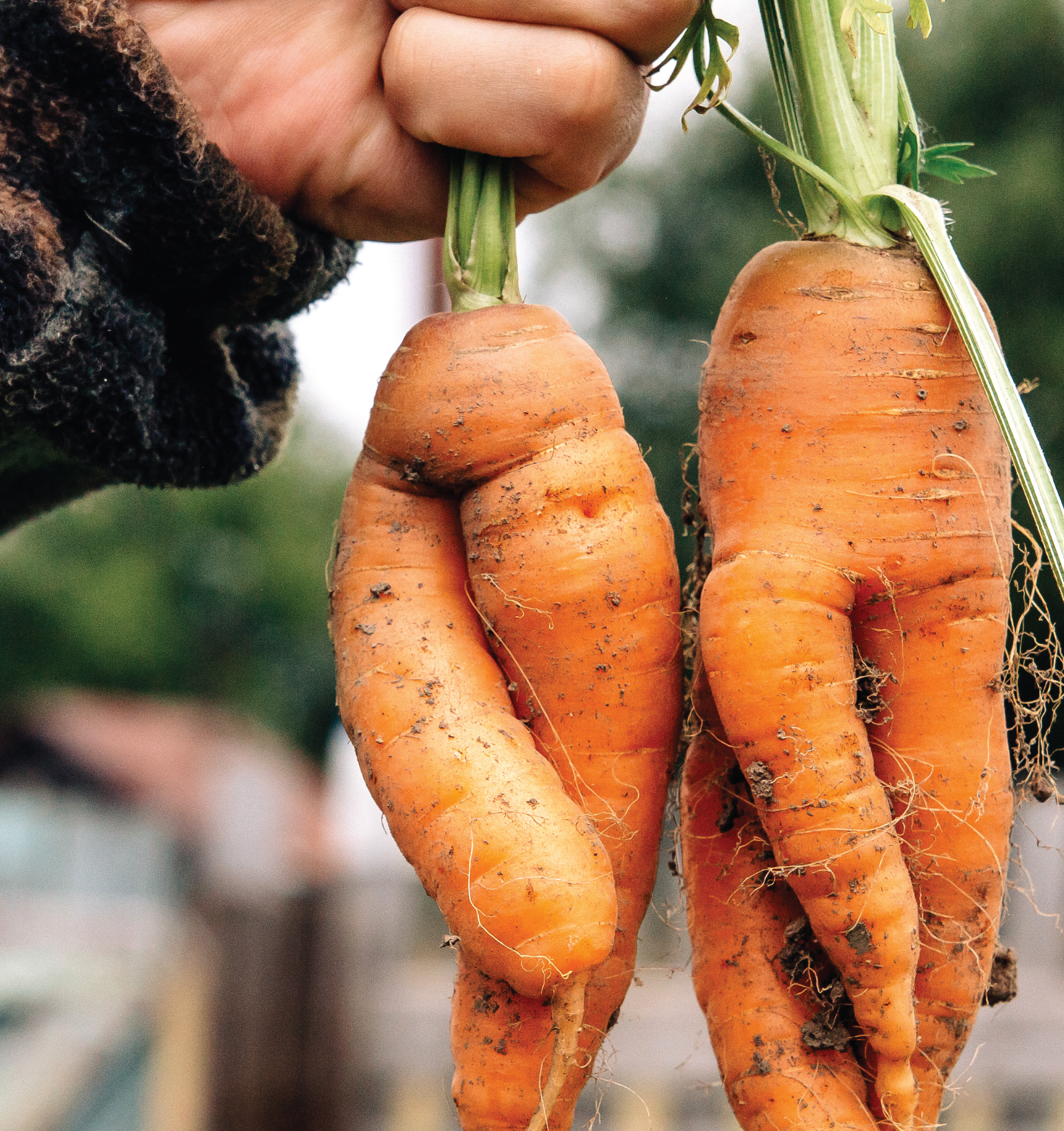 00_FGA25_OCTSOCIALS-10