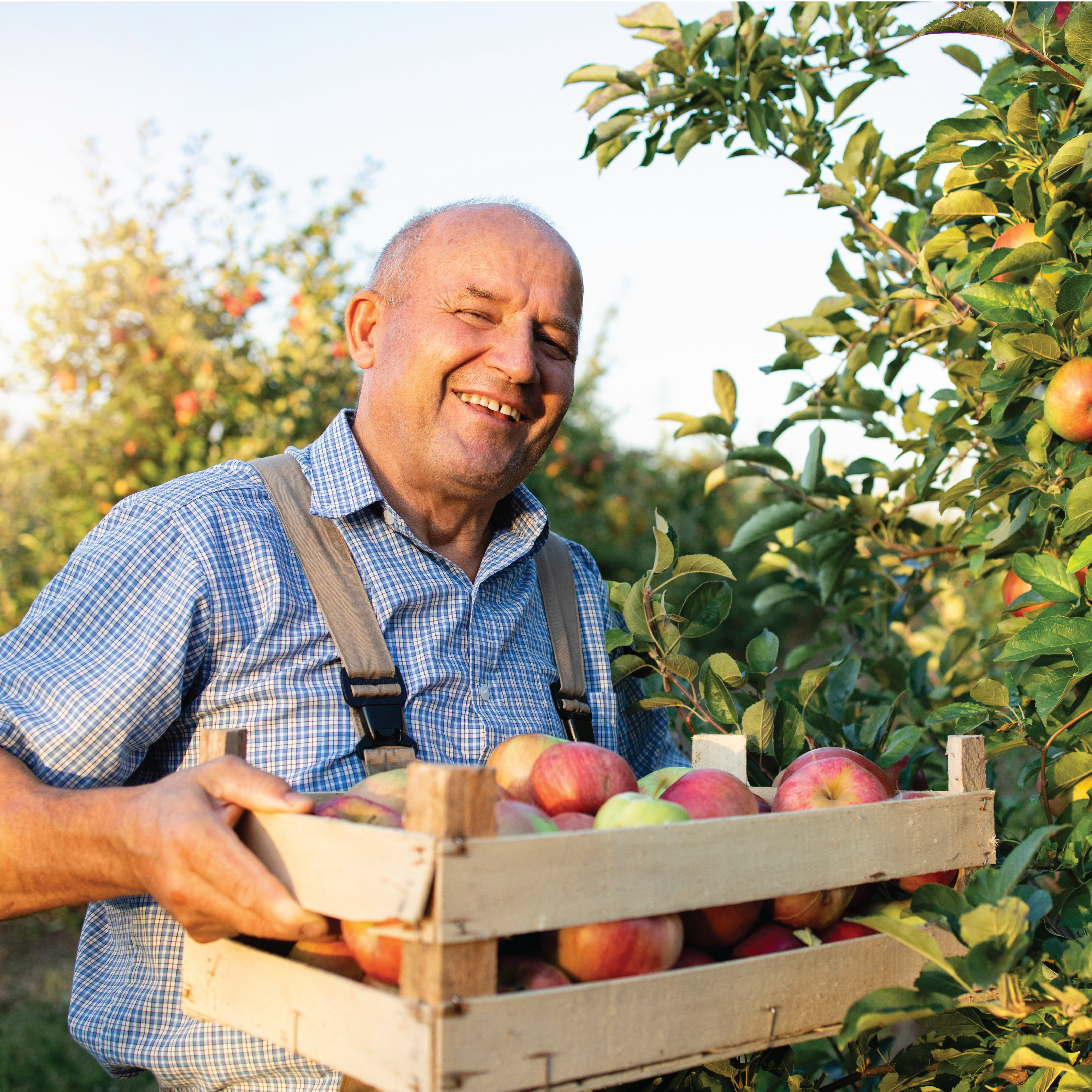 FGA25_NEWLETTERGEN_ASSETS1-09 Feeding Georgia Farm to Food Bank