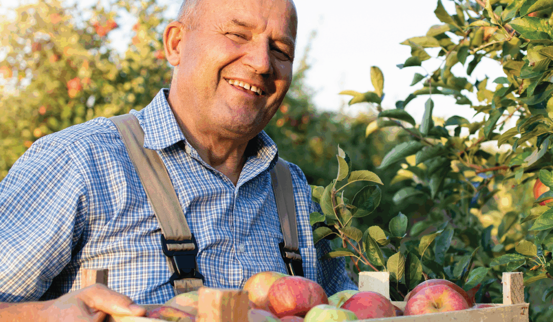 Farm to Food Bank: Fresh Food, Stronger Communities
