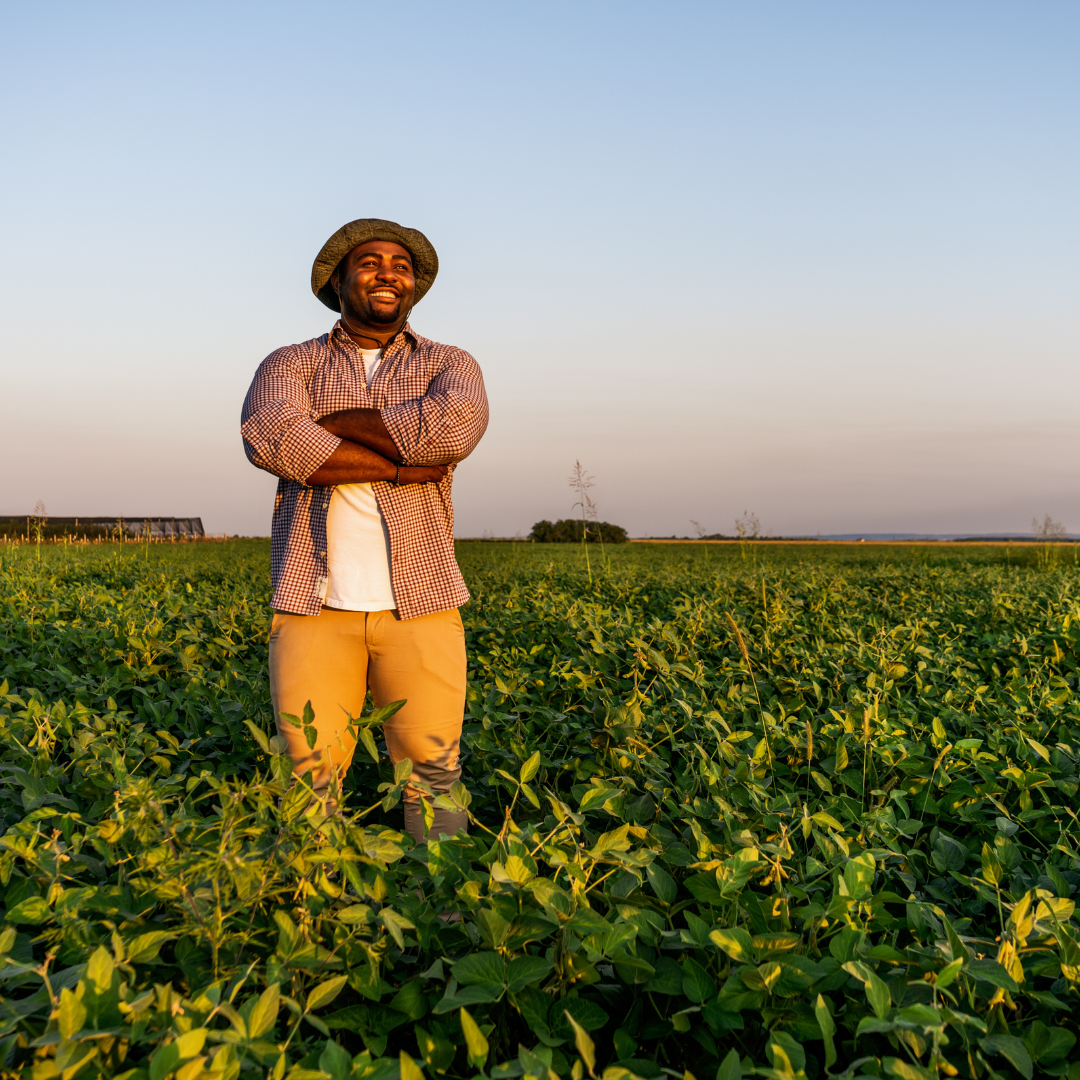 Farm to Food Bank Feeding Georgia Farm to Food Bank