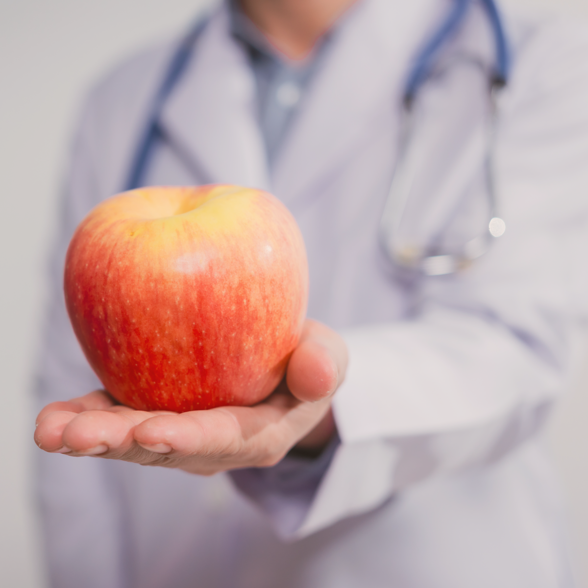 FGA_NOVNEWSLETTER_ASSETS-01 Feeding Georgia Farm to Food Bank