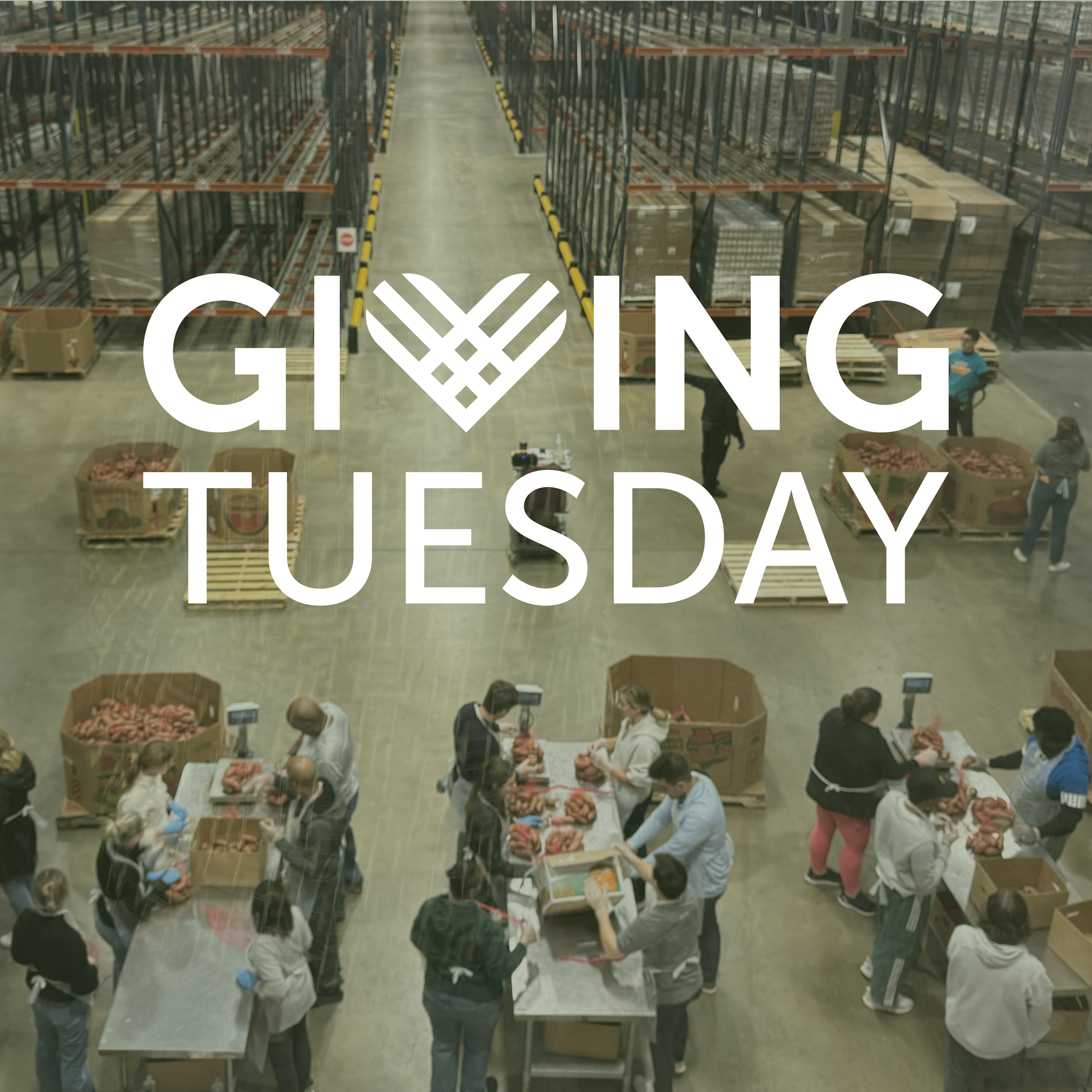 FGA_NOVNEWSLETTER_ASSETS-14